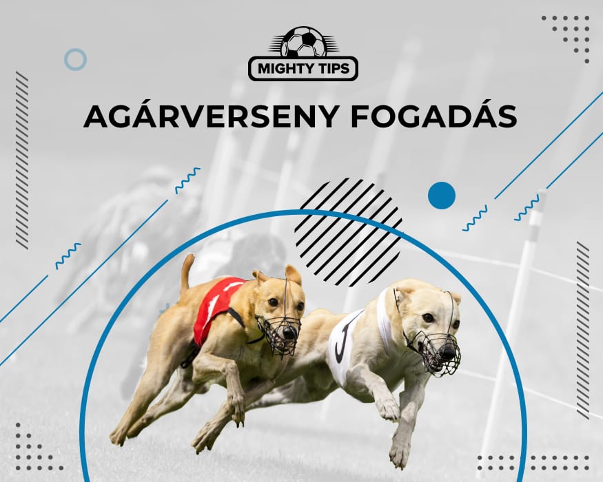 Agárverseny fogadás