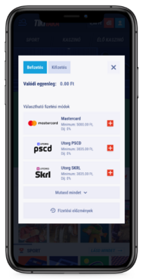 a befizetési oldal képernyőképe