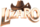 Lizaro logo