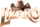 Lizaro logo