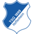 TSG Hoffenheim logo